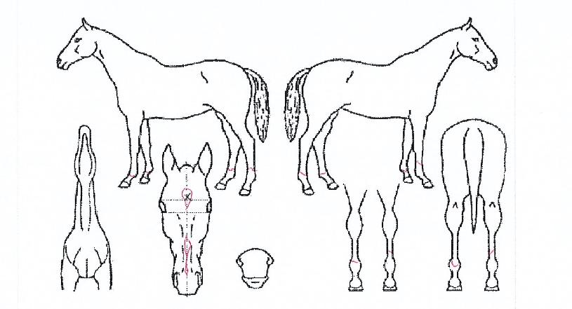 Ƽ������� ����,���,�޸�,�λ�,�ٸ��� Ư¡����