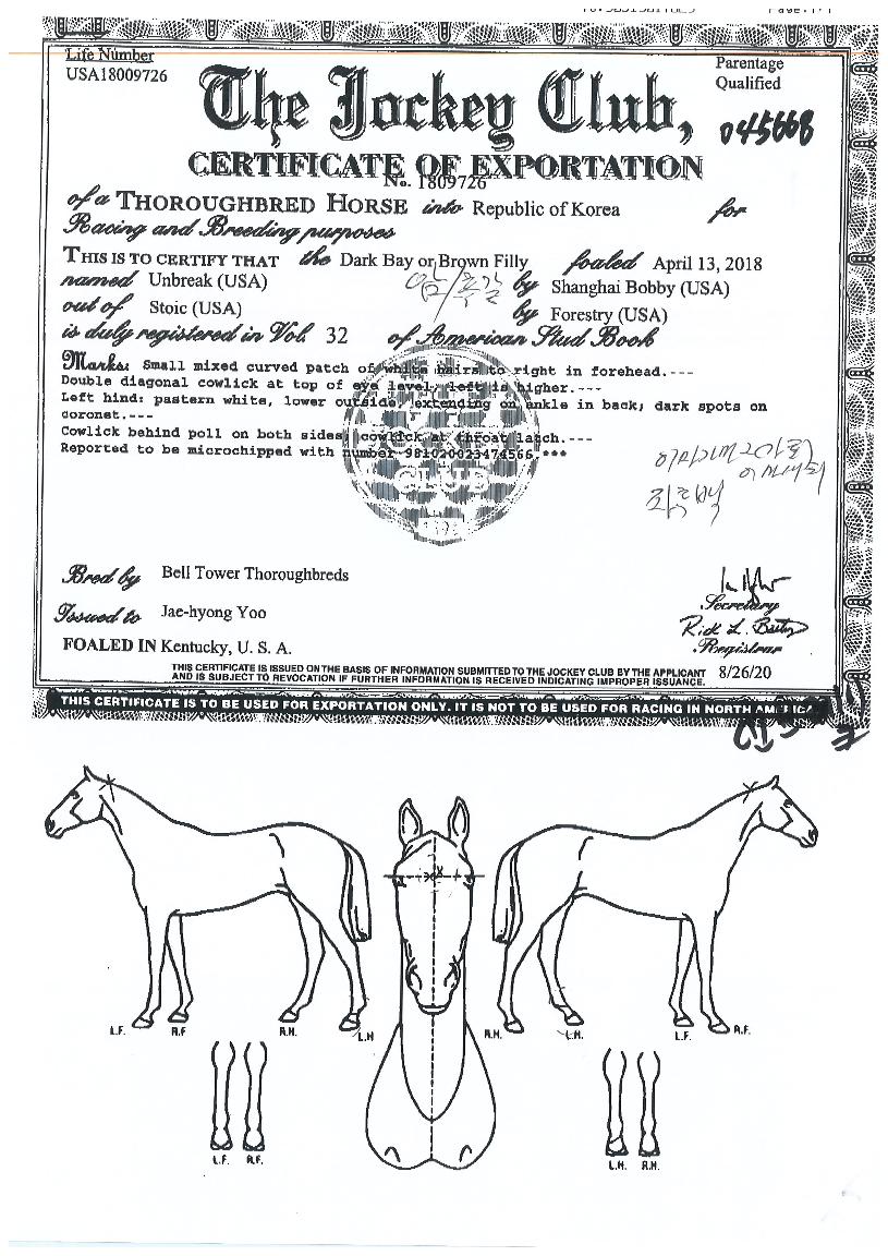 ��극��ũ�� ����,���,�޸�,�λ�,�ٸ��� Ư¡����