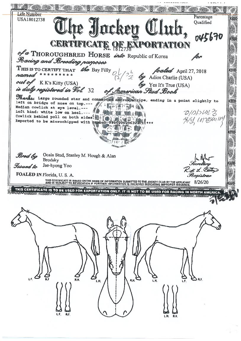 È÷µçÂû¸®ÀÇ Ãø¸é,¿ì¸é,µÞ¸é,µÎ»ó,´Ù¸®ÀÇ Æ¯Â¡µµÇØ