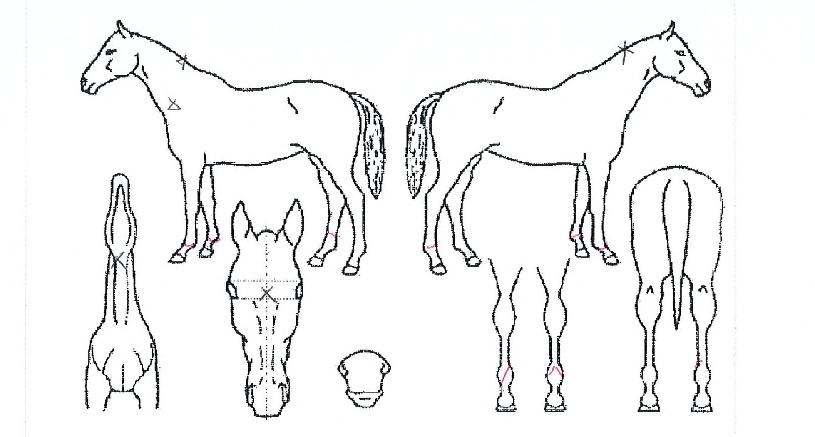 ���ʽ��� ����,���,�޸�,�λ�,�ٸ��� Ư¡����