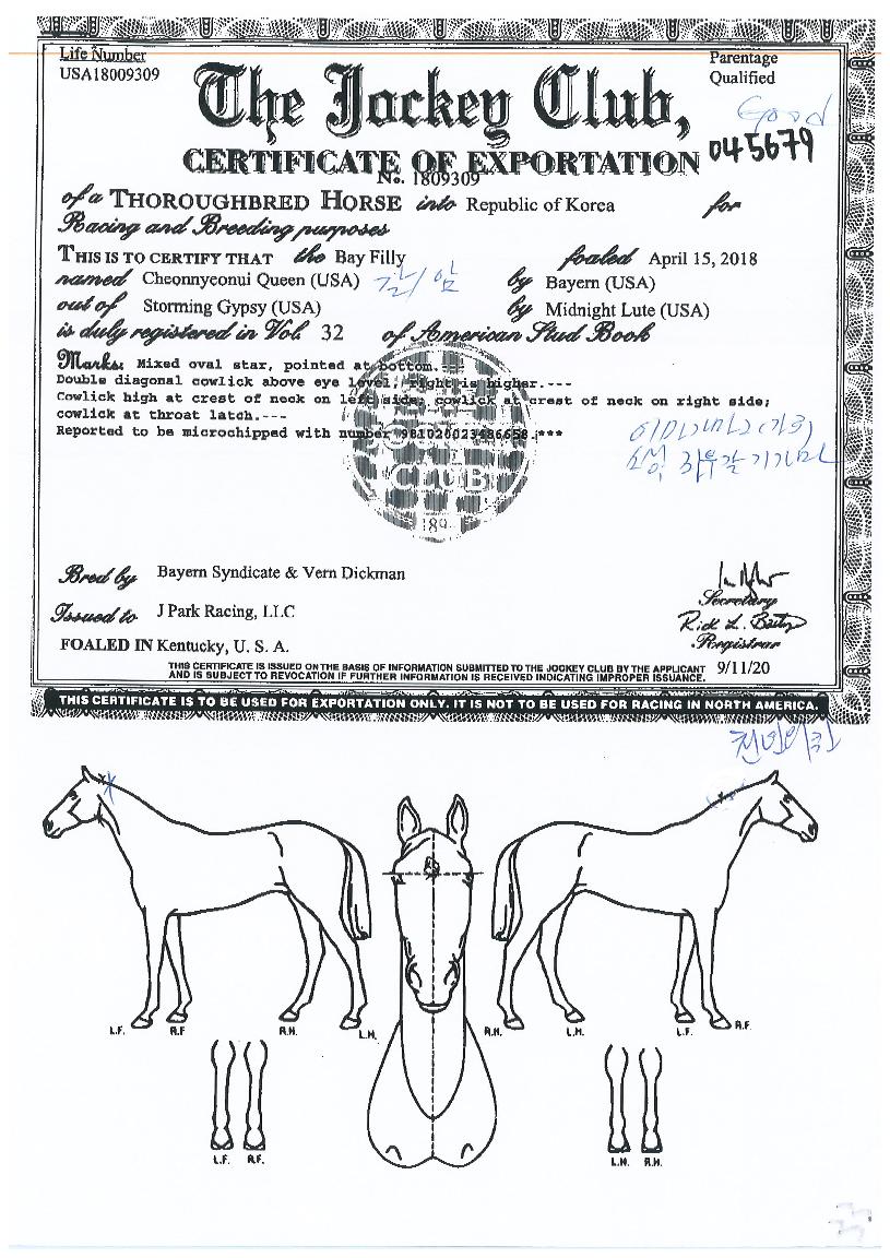 õ�������� ����,���,�޸�,�λ�,�ٸ��� Ư¡����