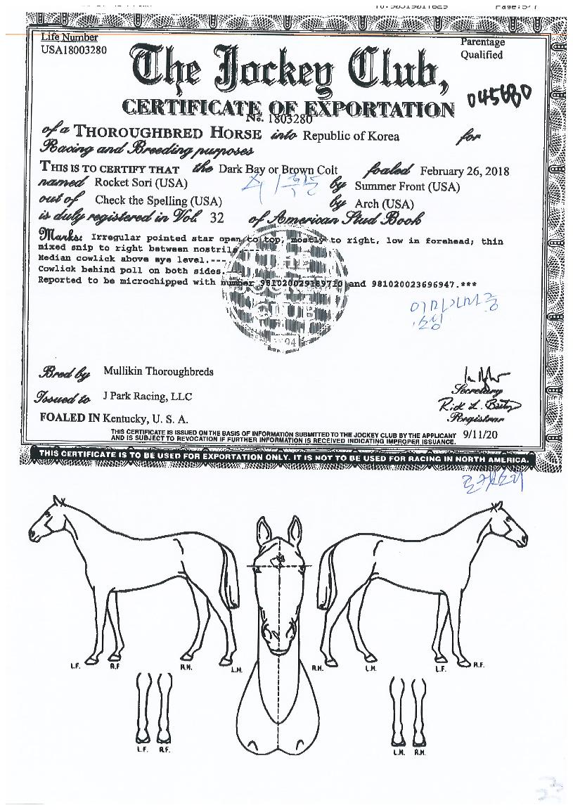 ���ϼҸ��� ����,���,�޸�,�λ�,�ٸ��� Ư¡����