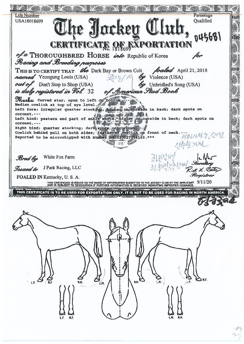 ¿µ¿õ·çÀ̽ºÀÇ Ãø¸é,¿ì¸é,µÞ¸é,µÎ»ó,´Ù¸®ÀÇ Æ¯Â¡µµÇØ