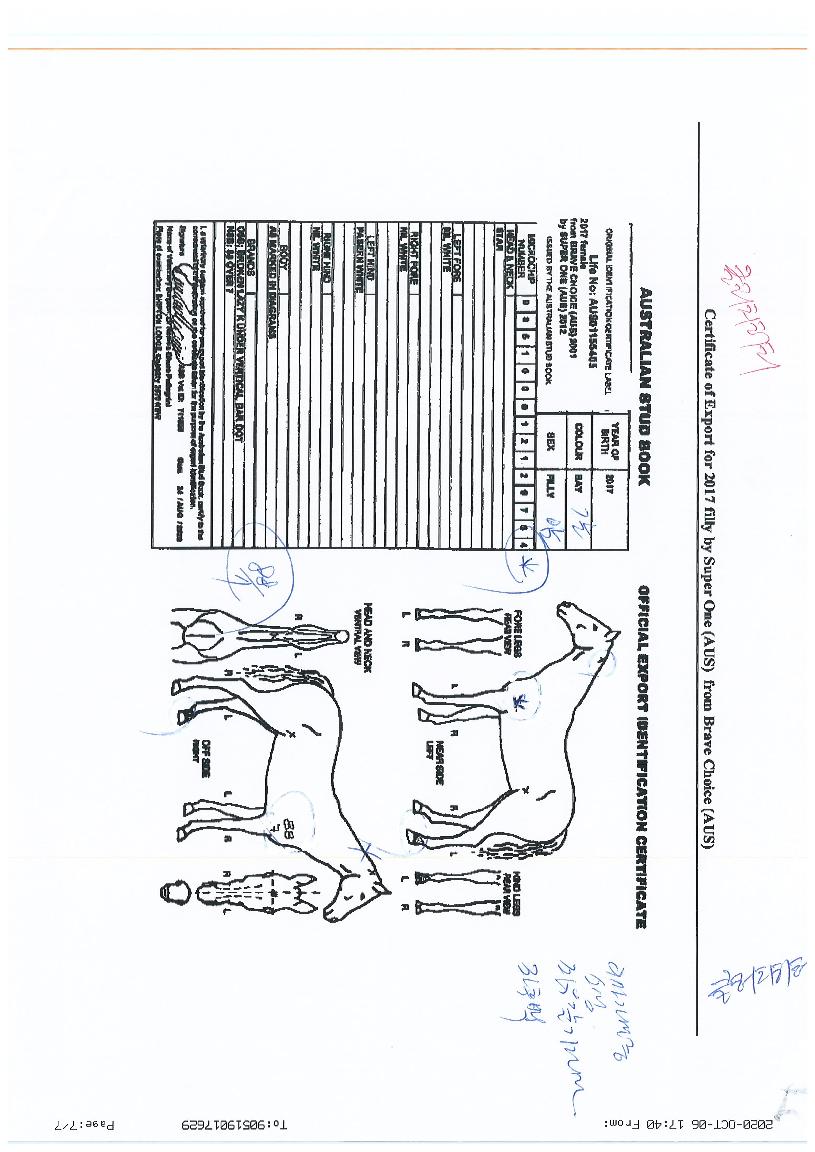 Ŭ��ġ������ ����,���,�޸�,�λ�,�ٸ��� Ư¡����