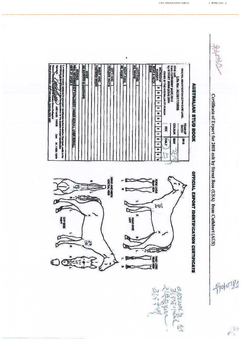 ���ƾ���� ����,���,�޸�,�λ�,�ٸ��� Ư¡����