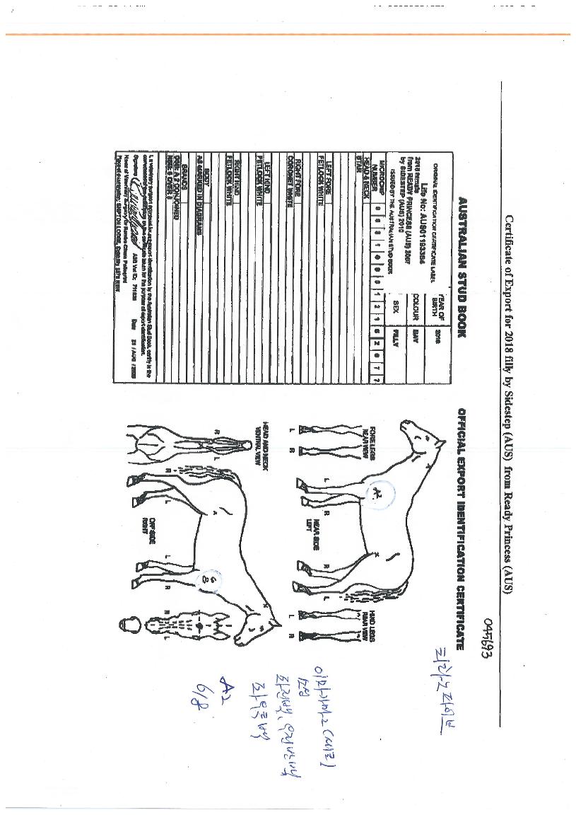 Ƽ������̺��� ����,���,�޸�,�λ�,�ٸ��� Ư¡����