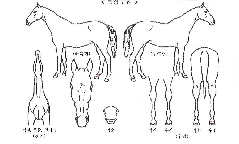 ����Ʈ���� ����,���,�޸�,�λ�,�ٸ��� Ư¡����