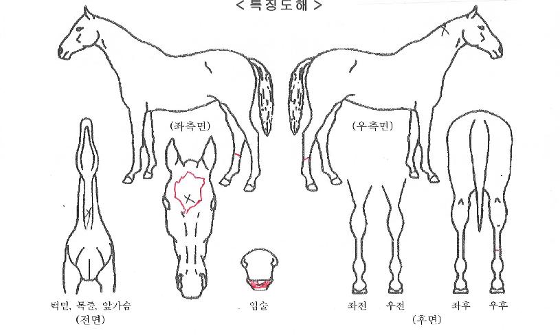 ������Ÿ���� ����,���,�޸�,�λ�,�ٸ��� Ư¡����