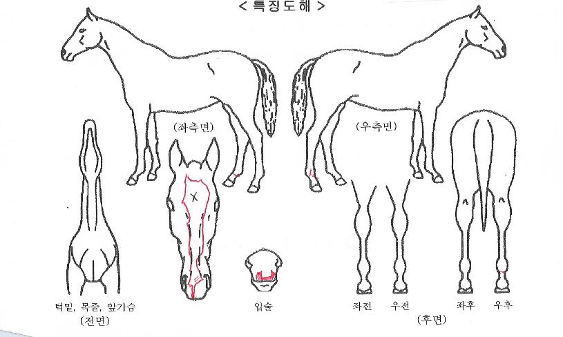 �����̺��� ����,���,�޸�,�λ�,�ٸ��� Ư¡����