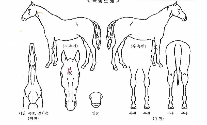 ���������� ����,���,�޸�,�λ�,�ٸ��� Ư¡����