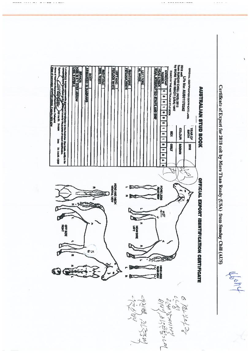 ¼Ö¸¯ÀÇ Ãø¸é,¿ì¸é,µÞ¸é,µÎ»ó,´Ù¸®ÀÇ Æ¯Â¡µµÇØ