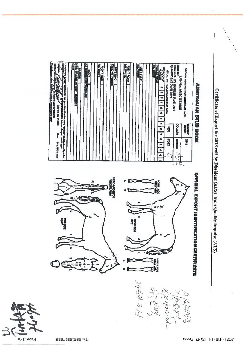 ������ ����,���,�޸�,�λ�,�ٸ��� Ư¡����