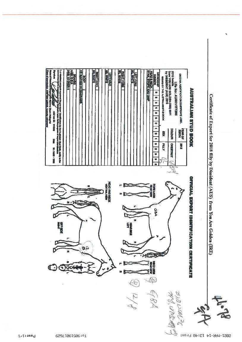 ·ç»çÀÇ Ãø¸é,¿ì¸é,µÞ¸é,µÎ»ó,´Ù¸®ÀÇ Æ¯Â¡µµÇØ