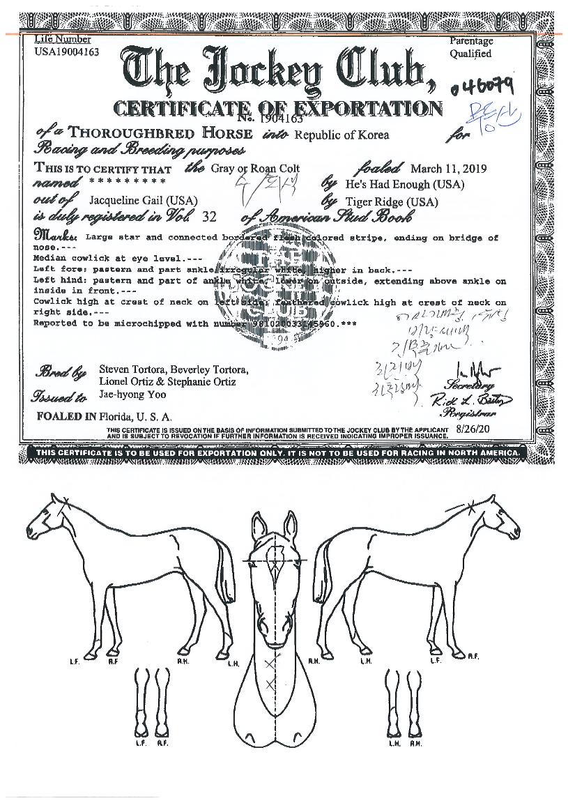 ������� ����,���,�޸�,�λ�,�ٸ��� Ư¡����