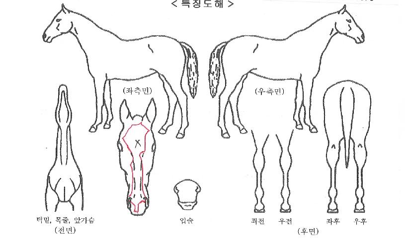 �̶�Ŭ���� ����,���,�޸�,�λ�,�ٸ��� Ư¡����