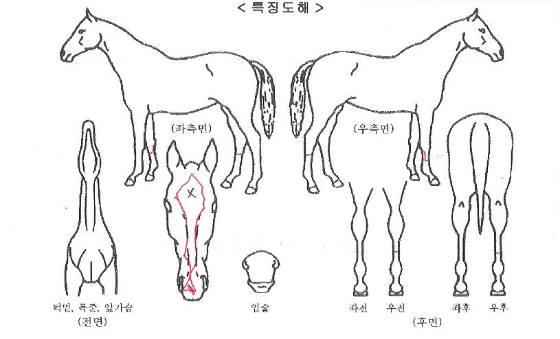 ȯ���ǹ����ڸ��� ����,���,�޸�,�λ�,�ٸ��� Ư¡����