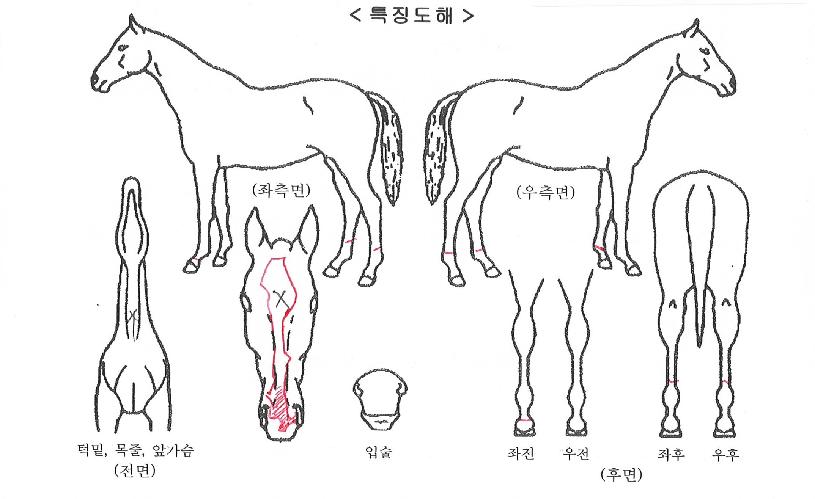 Į������ ����,���,�޸�,�λ�,�ٸ��� Ư¡����