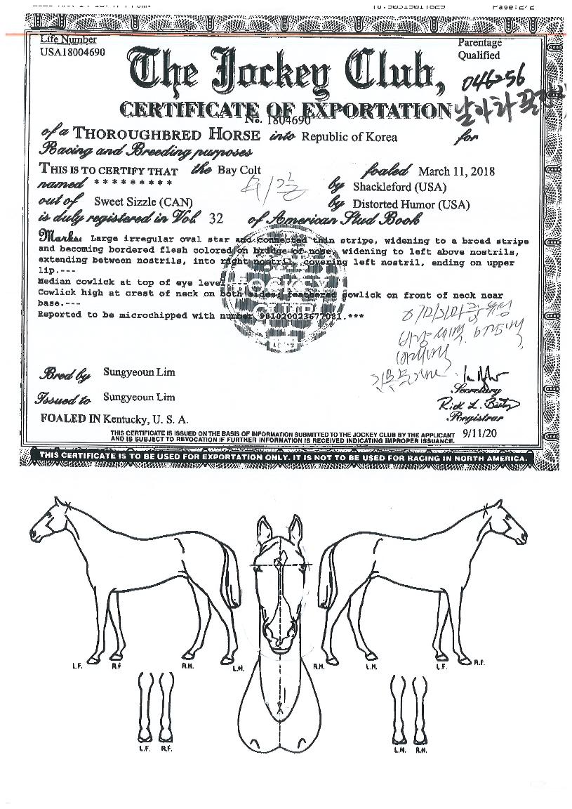 ���ƶ�ܴ����� ����,���,�޸�,�λ�,�ٸ��� Ư¡����