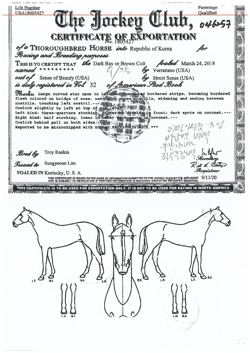 ÅõÈ¥Àǹݼ®ÀÇ Ãø¸é,¿ì¸é,µÞ¸é,µÎ»ó,´Ù¸®ÀÇ Æ¯Â¡µµÇØ