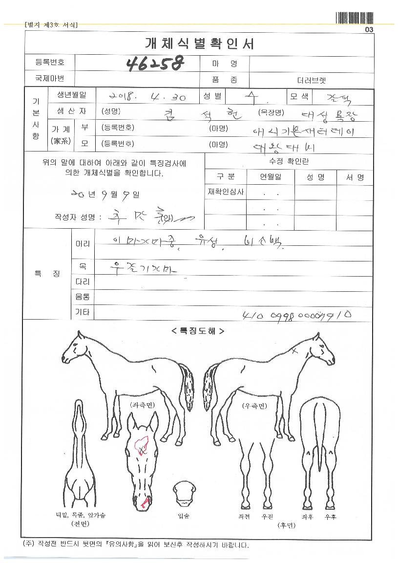 ±×·¹ÀÌÆ®¼±´õÀÇ Ãø¸é,¿ì¸é,µÞ¸é,µÎ»ó,´Ù¸®ÀÇ Æ¯Â¡µµÇØ