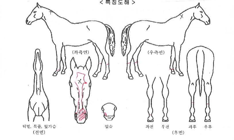 ��Ÿ��ƽ������ ����,���,�޸�,�λ�,�ٸ��� Ư¡����