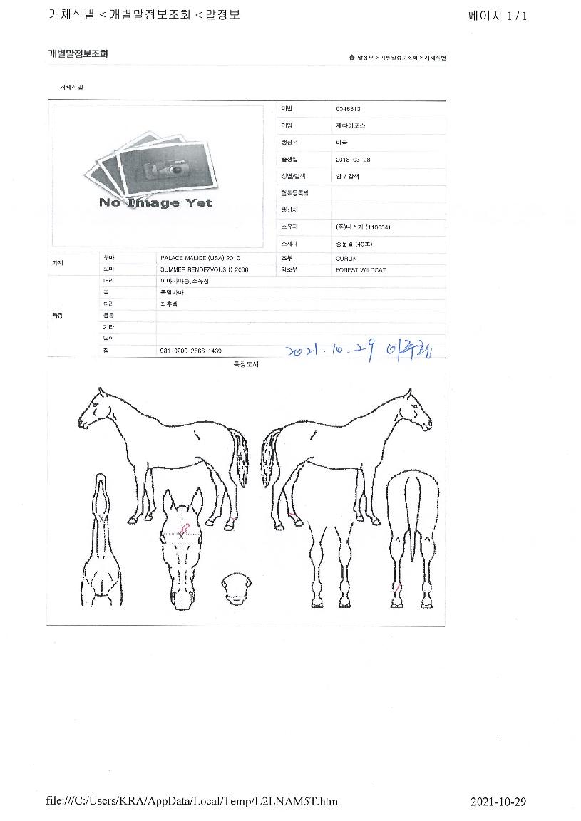 ������������ ����,���,�޸�,�λ�,�ٸ��� Ư¡����