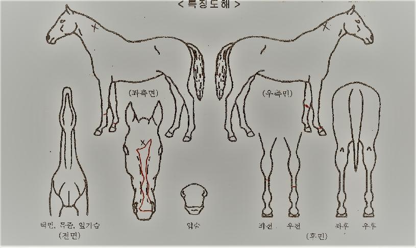 ��������Ÿ���ڸ��� ����,���,�޸�,�λ�,�ٸ��� Ư¡����