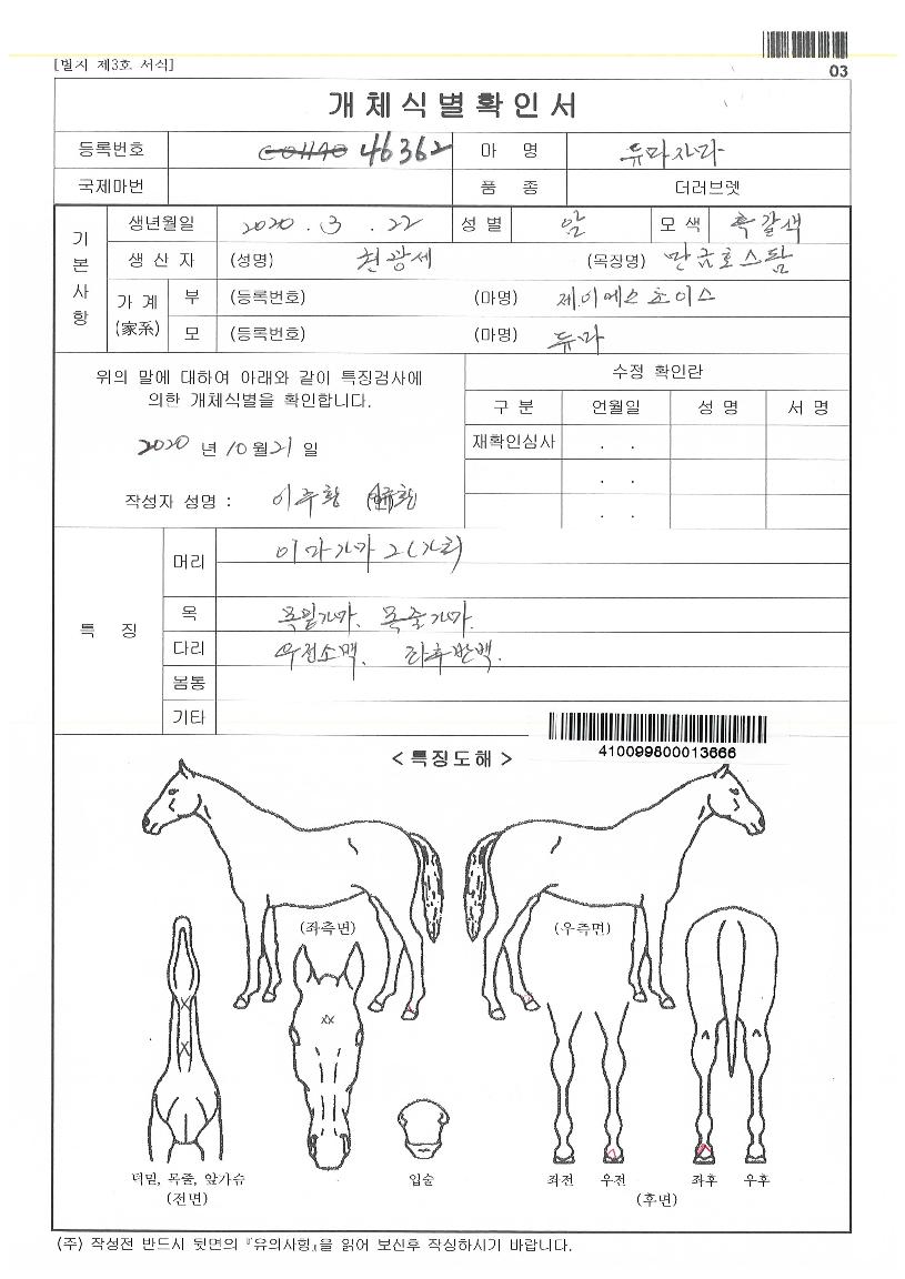 �ึ�ڸ��� ����,���,�޸�,�λ�,�ٸ��� Ư¡����