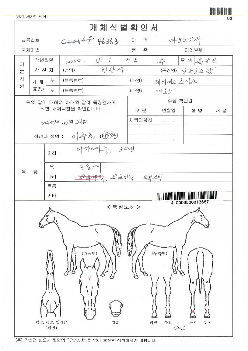 ¸¶¿À³ëÀÚ¸¶ÀÇ Ãø¸é,¿ì¸é,µÞ¸é,µÎ»ó,´Ù¸®ÀÇ Æ¯Â¡µµÇØ