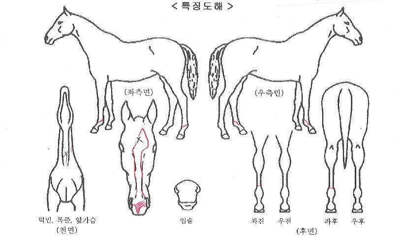 ����°���� ����,���,�޸�,�λ�,�ٸ��� Ư¡����