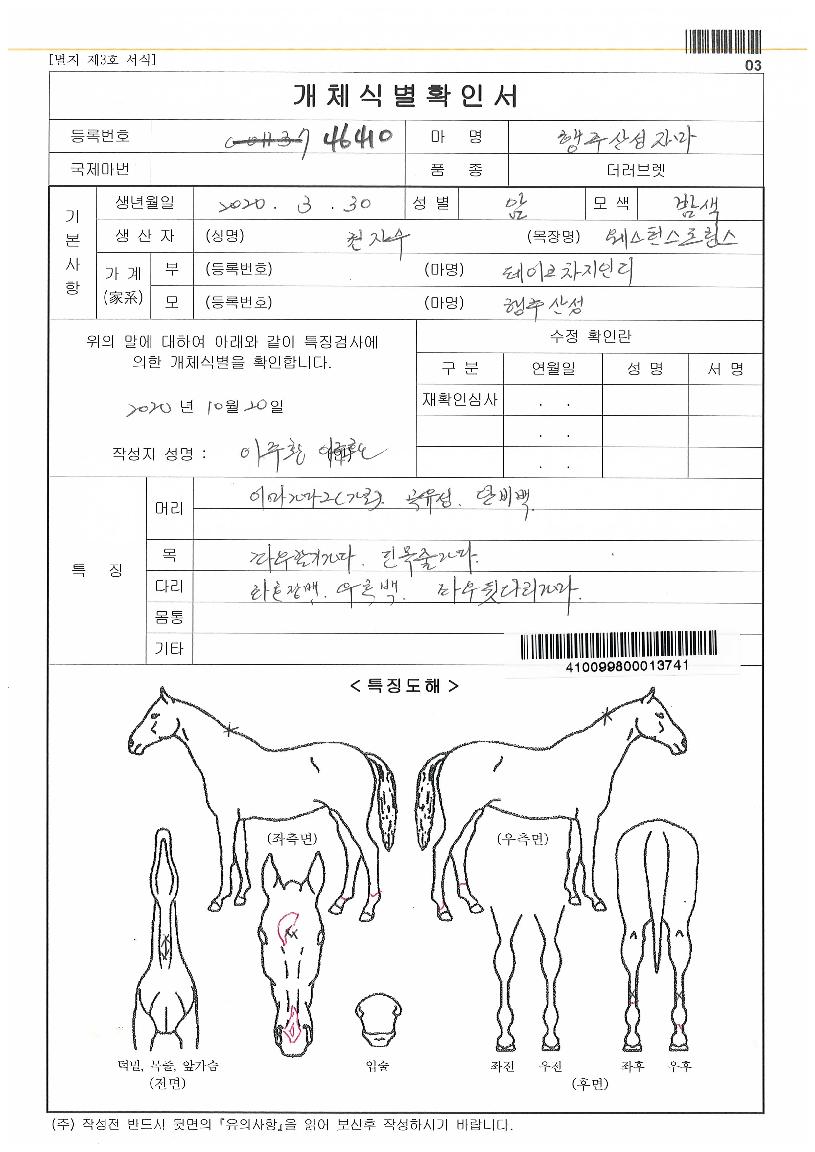 ���ֻ꼺�ڸ��� ����,���,�޸�,�λ�,�ٸ��� Ư¡����