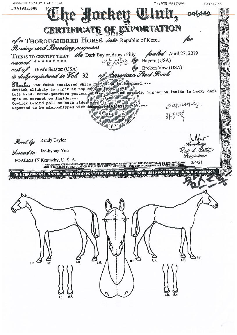 į��Ʈ���� ����,���,�޸�,�λ�,�ٸ��� Ư¡����