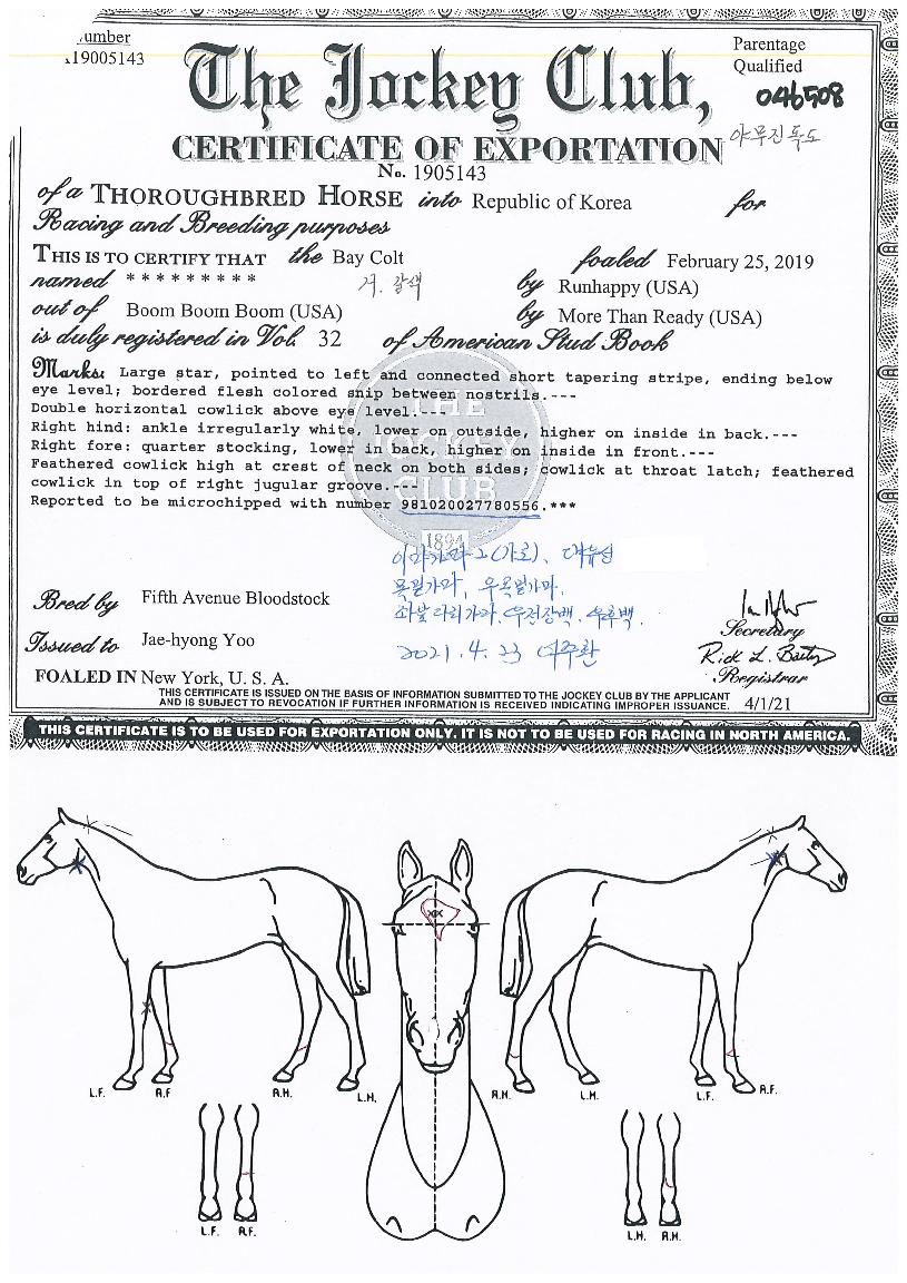 ¾ß¹«Áøµ¶µµÀÇ Ãø¸é,¿ì¸é,µÞ¸é,µÎ»ó,´Ù¸®ÀÇ Æ¯Â¡µµÇØ