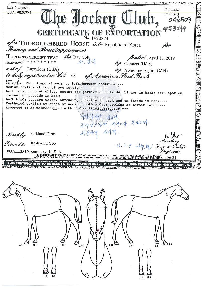 �߹�������� ����,���,�޸�,�λ�,�ٸ��� Ư¡����