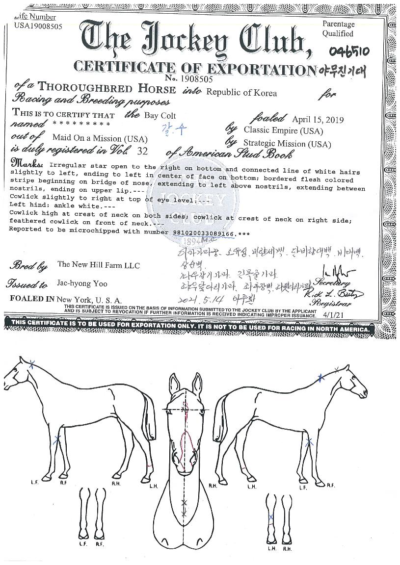 ¾ß¹«Áø±â´ëÀÇ Ãø¸é,¿ì¸é,µÞ¸é,µÎ»ó,´Ù¸®ÀÇ Æ¯Â¡µµÇØ