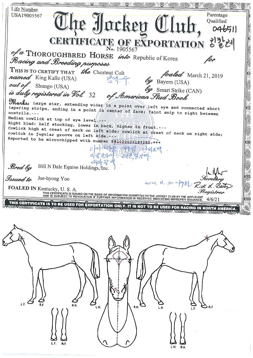 ŷĮ���� ����,���,�޸�,�λ�,�ٸ��� Ư¡����