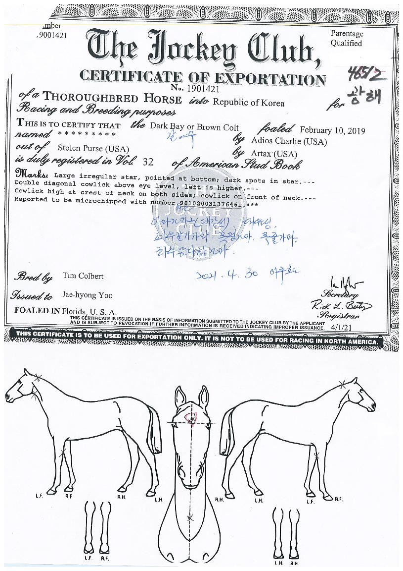 ±¤ÇØÀÇ Ãø¸é,¿ì¸é,µÞ¸é,µÎ»ó,´Ù¸®ÀÇ Æ¯Â¡µµÇØ