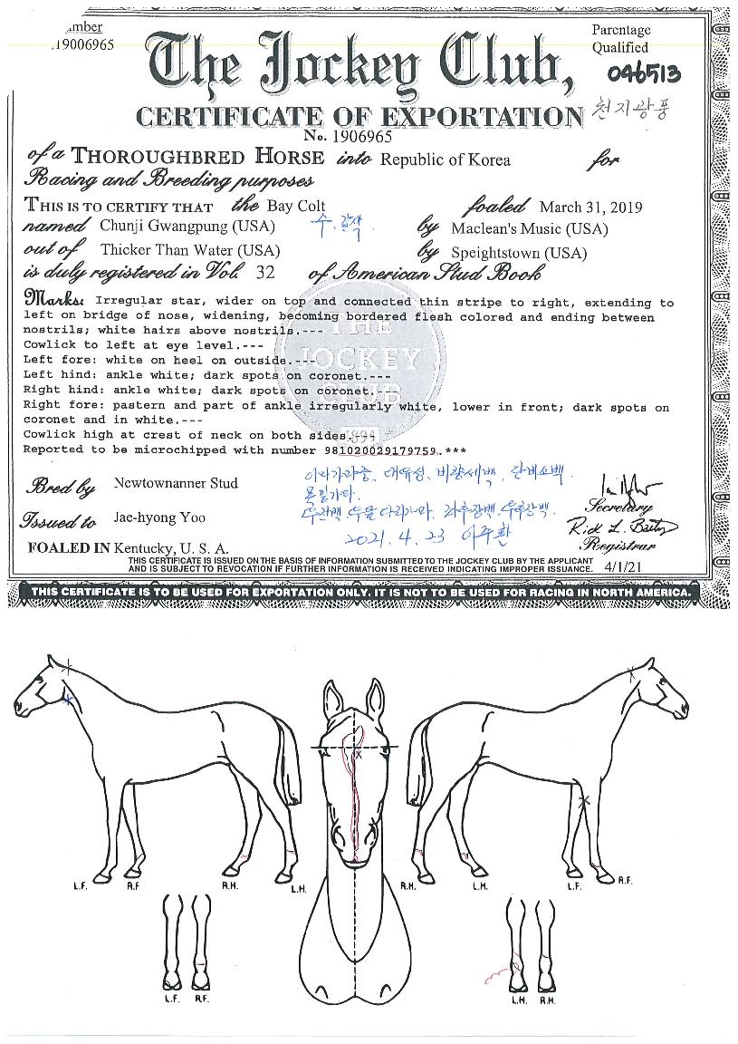 õÁö±¤Ç³ÀÇ Ãø¸é,¿ì¸é,µÞ¸é,µÎ»ó,´Ù¸®ÀÇ Æ¯Â¡µµÇØ