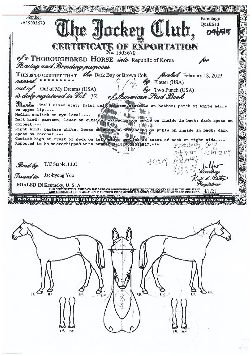 ¿ùµåº¸ÀÌÀÇ Ãø¸é,¿ì¸é,µÞ¸é,µÎ»ó,´Ù¸®ÀÇ Æ¯Â¡µµÇØ