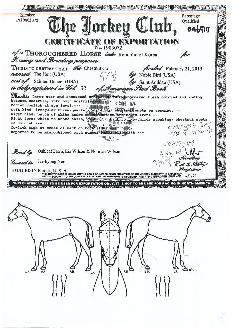 �������� ����,���,�޸�,�λ�,�ٸ��� Ư¡����