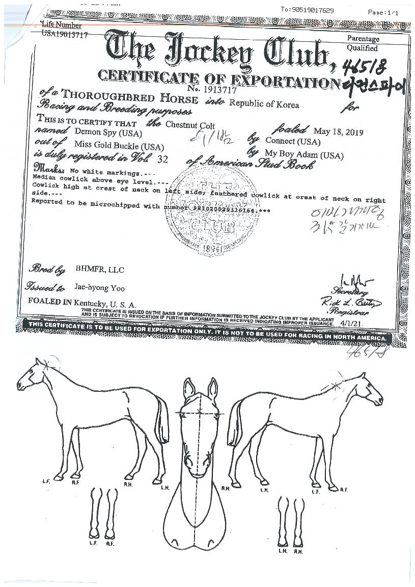 ��ս������� ����,���,�޸�,�λ�,�ٸ��� Ư¡����