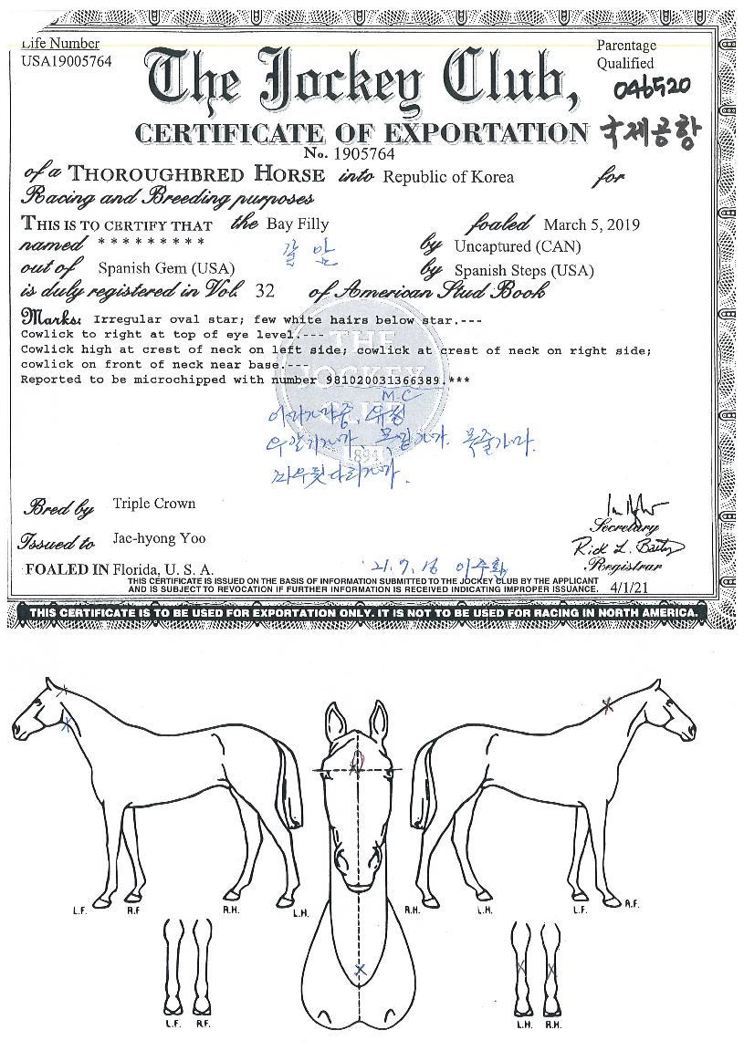 ���������� ����,���,�޸�,�λ�,�ٸ��� Ư¡����