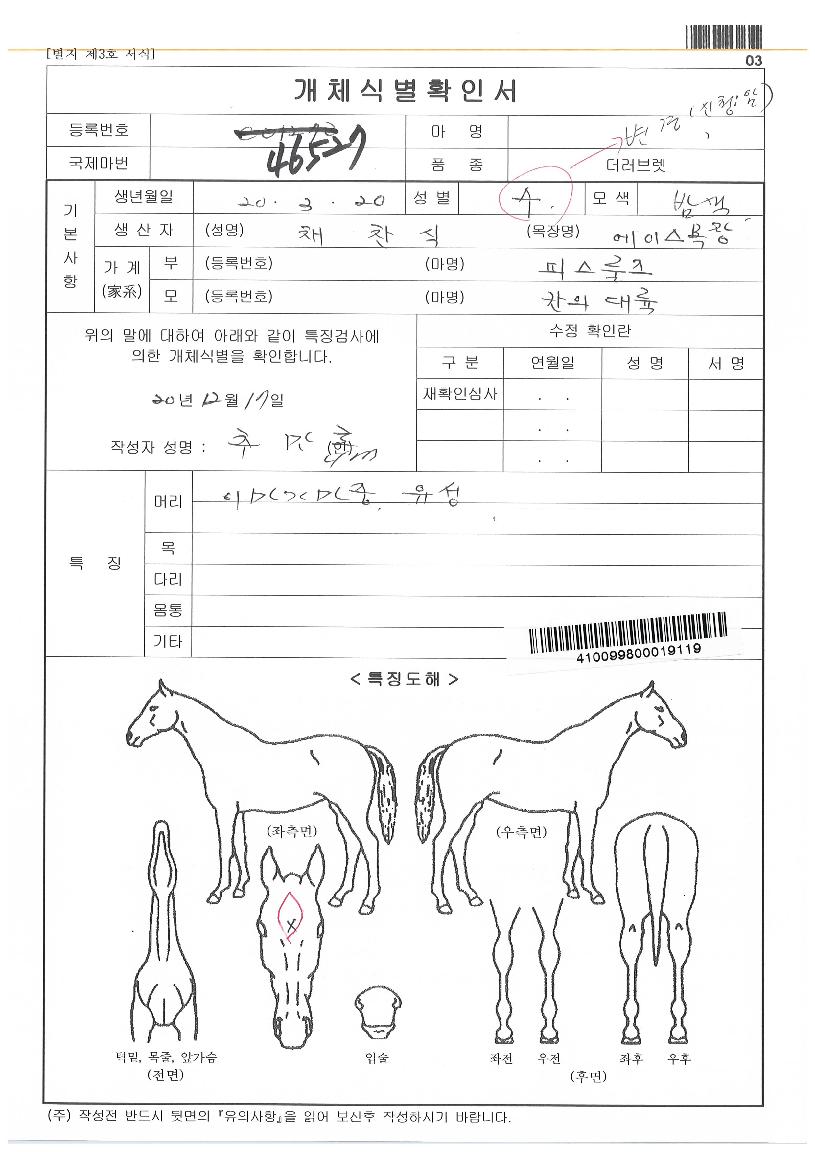 ÄÀÇ´ë·úÀÚ¸¶ÀÇ Ãø¸é,¿ì¸é,µÞ¸é,µÎ»ó,´Ù¸®ÀÇ Æ¯Â¡µµÇØ