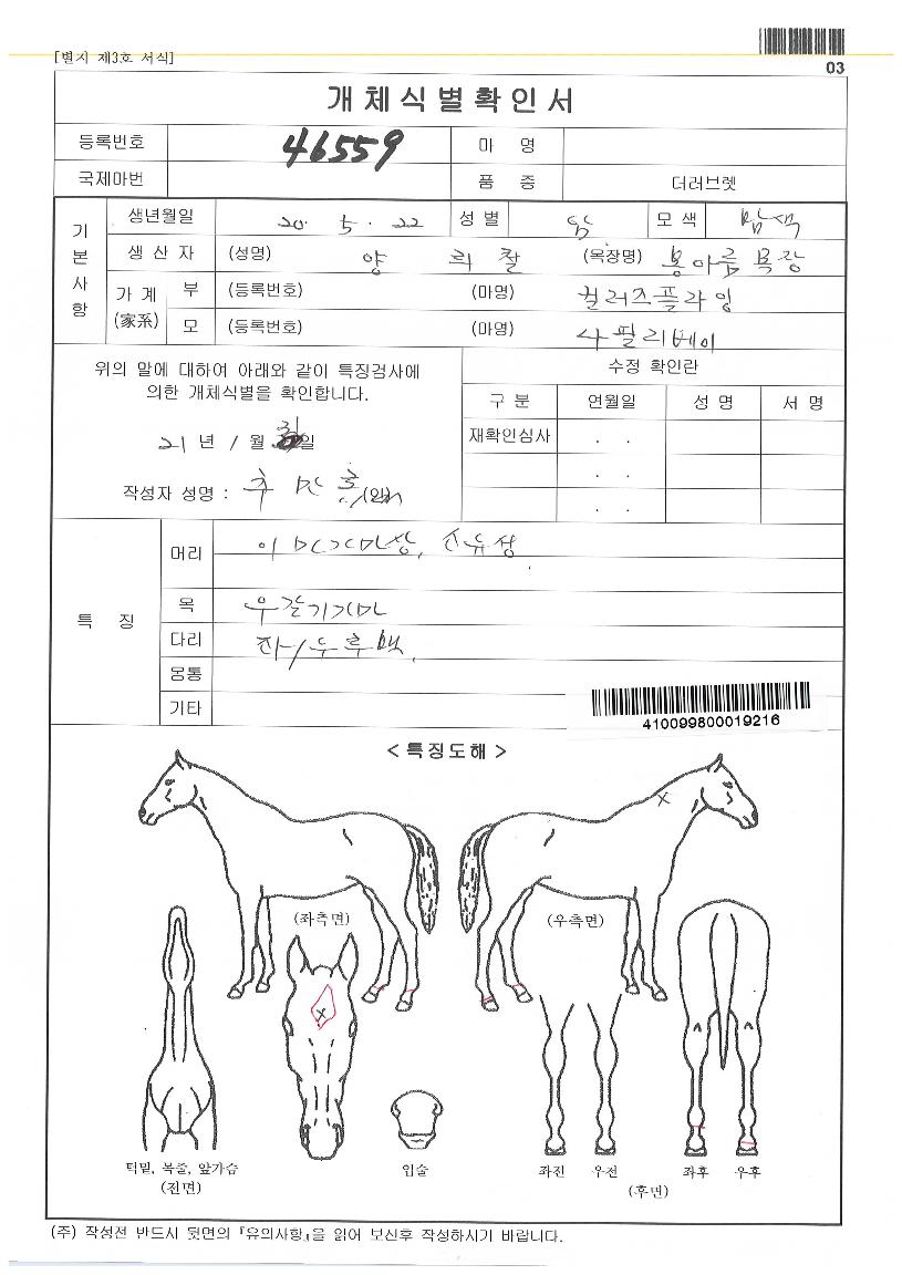 È£¸íµå¸²ÀÇ Ãø¸é,¿ì¸é,µÞ¸é,µÎ»ó,´Ù¸®ÀÇ Æ¯Â¡µµÇØ