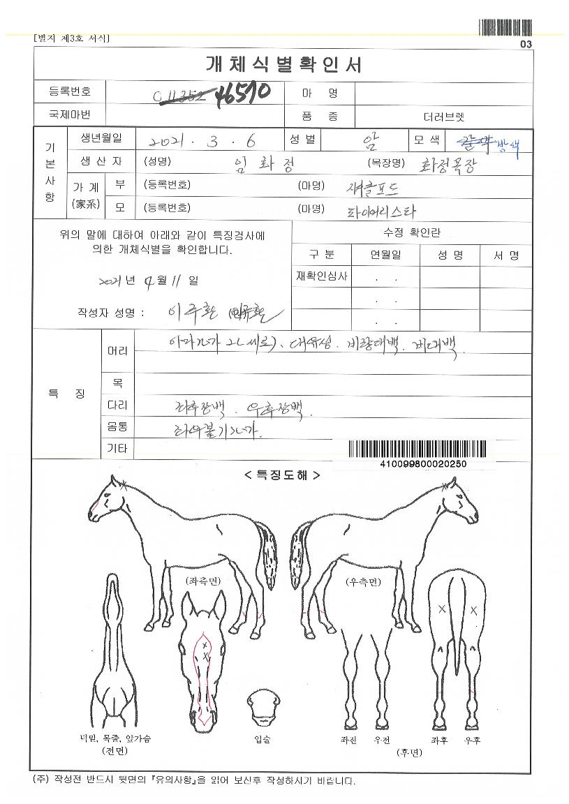 ÆÄÀ̾½ºÅ¸ÀÚ¸¶ÀÇ Ãø¸é,¿ì¸é,µÞ¸é,µÎ»ó,´Ù¸®ÀÇ Æ¯Â¡µµÇØ