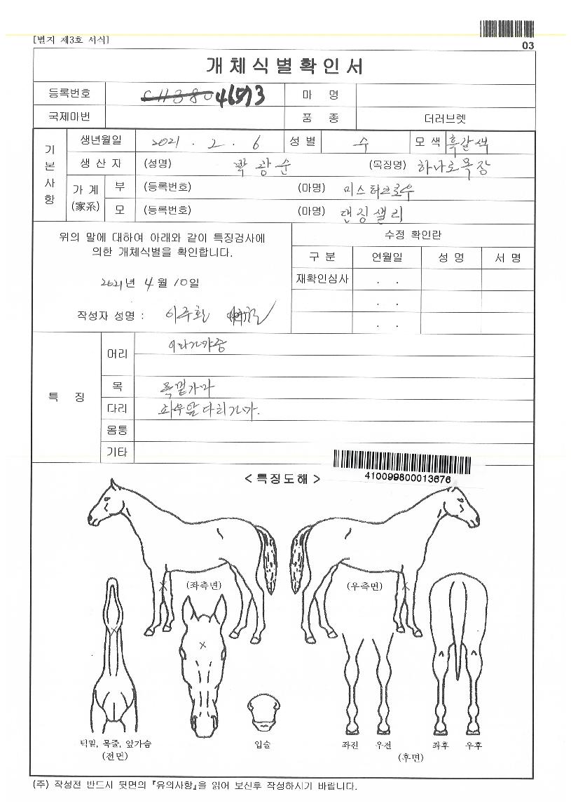 ´í¡»ø¸®ÀÚ¸¶ÀÇ Ãø¸é,¿ì¸é,µÞ¸é,µÎ»ó,´Ù¸®ÀÇ Æ¯Â¡µµÇØ