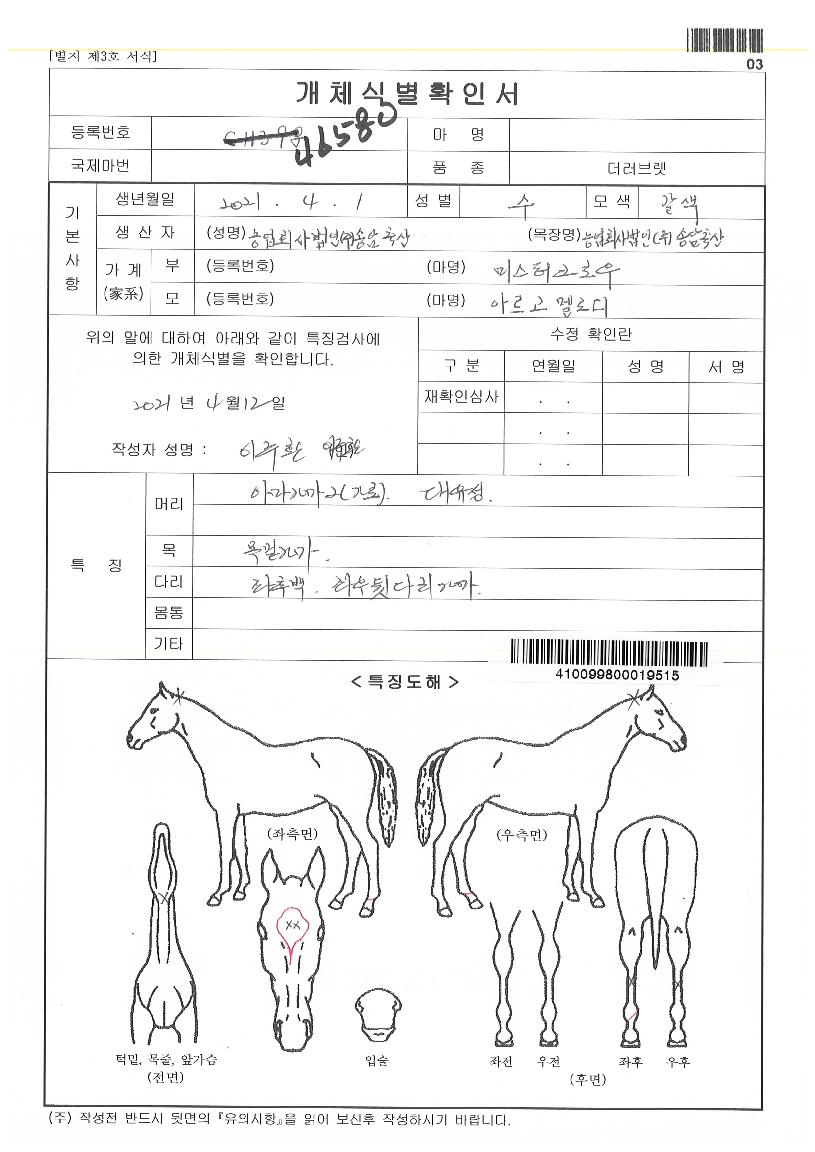 ¾Æ¸£°í¸á·ÎµðÀÚ¸¶ÀÇ Ãø¸é,¿ì¸é,µÞ¸é,µÎ»ó,´Ù¸®ÀÇ Æ¯Â¡µµÇØ