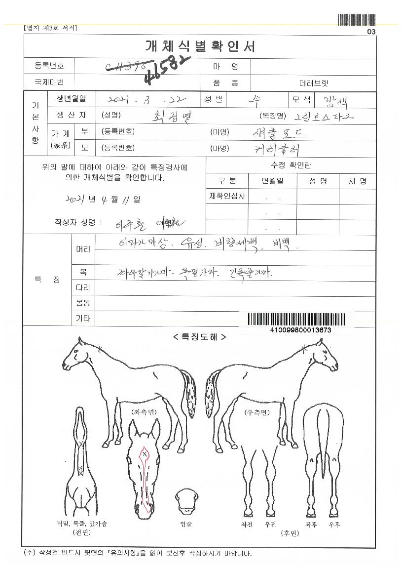 Ä¿¸®Å§·¯ÀÚ¸¶ÀÇ Ãø¸é,¿ì¸é,µÞ¸é,µÎ»ó,´Ù¸®ÀÇ Æ¯Â¡µµÇØ