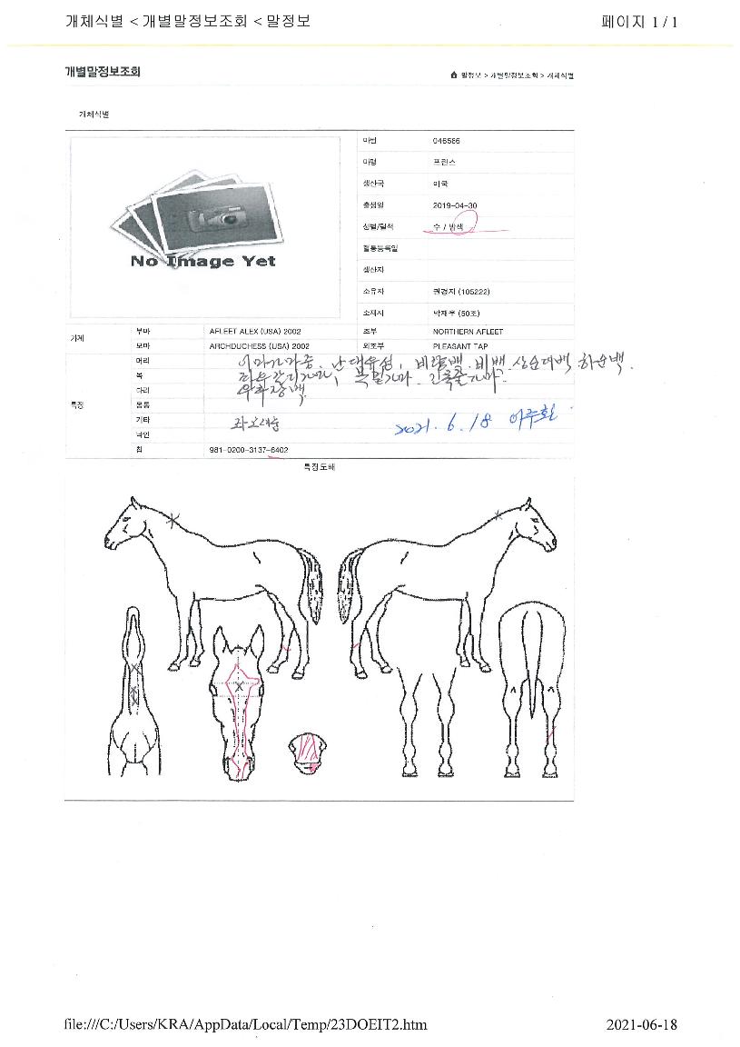 ÇÁ¸°½ºÀÇ Ãø¸é,¿ì¸é,µÞ¸é,µÎ»ó,´Ù¸®ÀÇ Æ¯Â¡µµÇØ