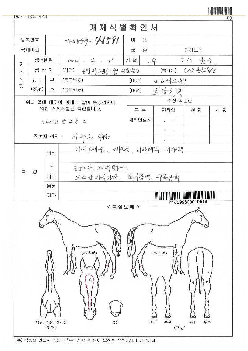 Èñ¸Á·ÎÄÏÀÚ¸¶ÀÇ Ãø¸é,¿ì¸é,µÞ¸é,µÎ»ó,´Ù¸®ÀÇ Æ¯Â¡µµÇØ